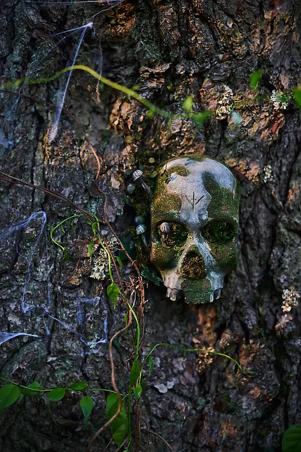 Mossy Metal Skull | Terrain