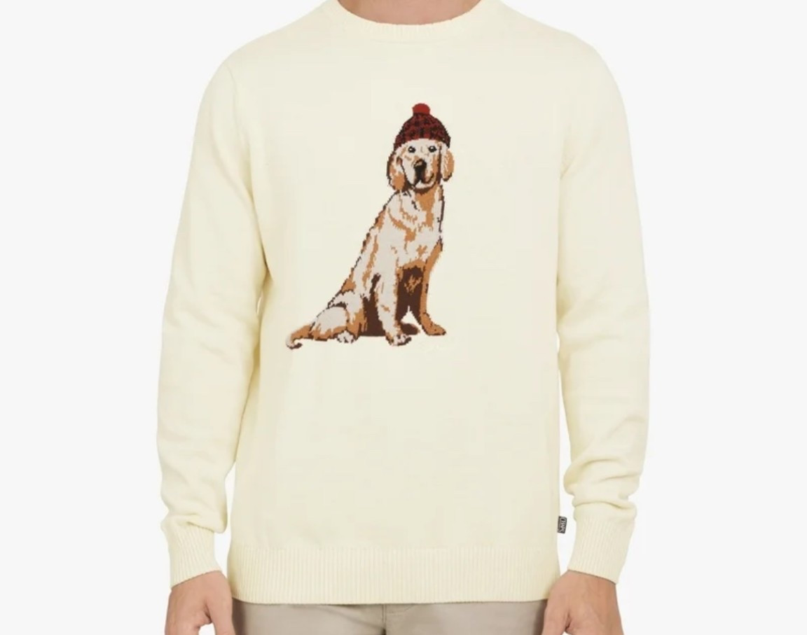 golden retriever sweater, holiday sweater 

#LTKSeasonal #LTKHoliday #LTKGiftGuide