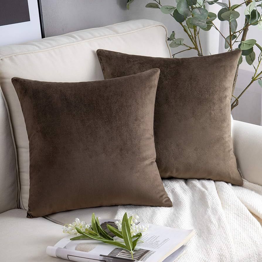 Phantoscope Pack of 2 Velvet Decorative Throw Decorative Pillow Cover Soft Solid Square Cushion C... | Amazon (US)