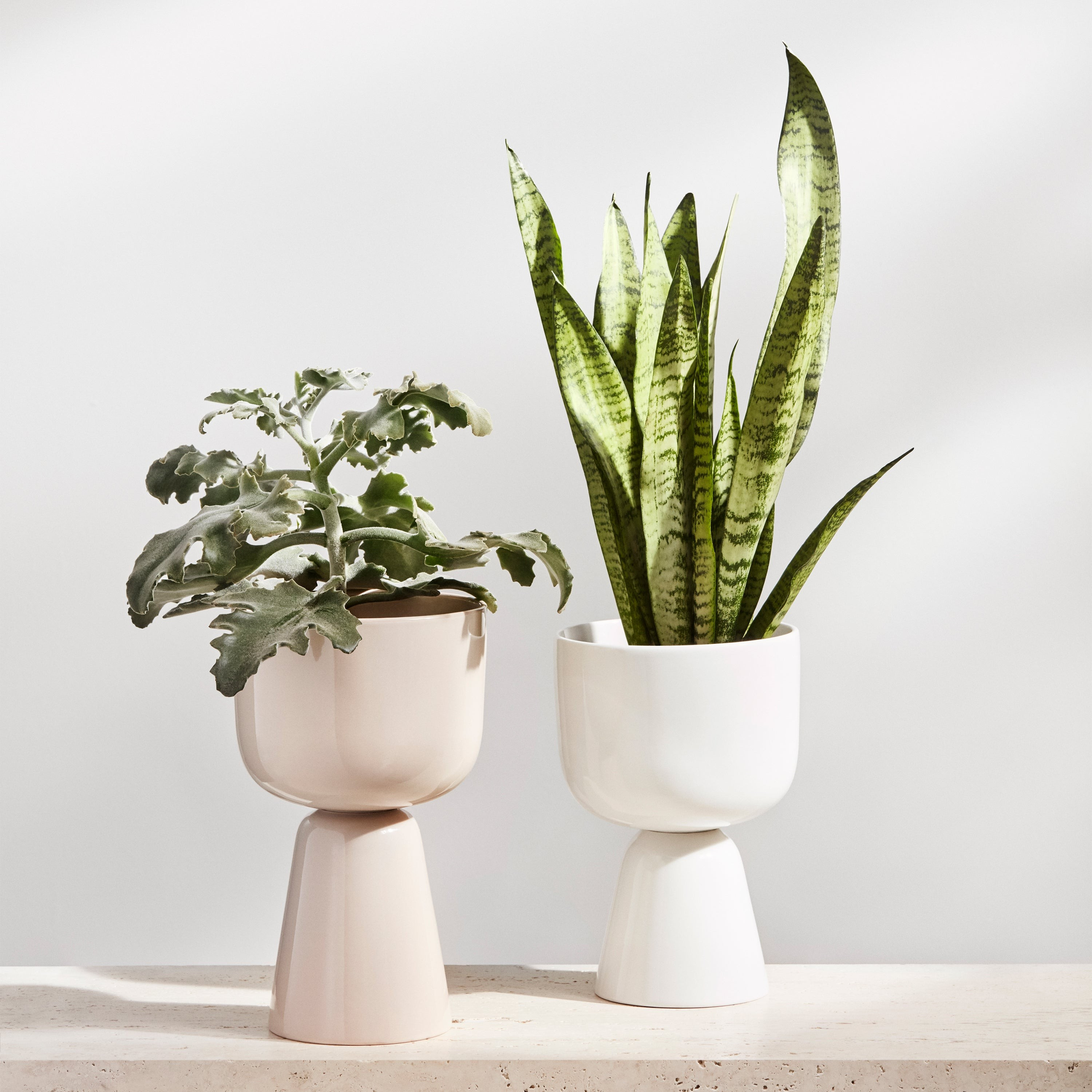 Nappula Plant Pot | 2Modern (US)