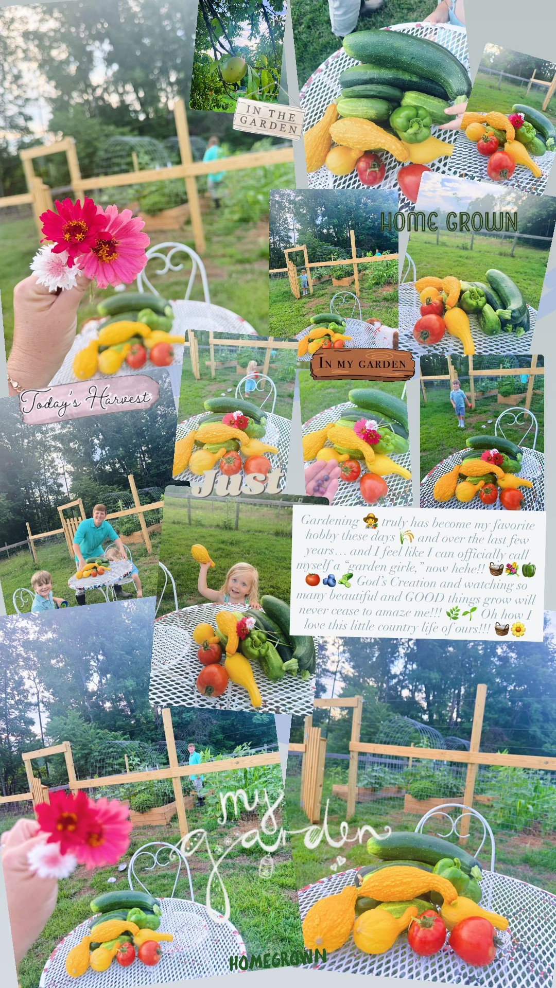 Gardening 👩‍🌾 truly has become my favorite hobby these days 🌾 and over the last few years… and I feel like I can officially call myself a “garden girle,” now hehe!! 🧺💐🫑🍅🫐🥒 God’s Creation and watching so many beautiful and GOOD things grow will never cease to amaze me!!! 🌿🌱 Oh how I love this little country life of ours!!! 🧺🌼