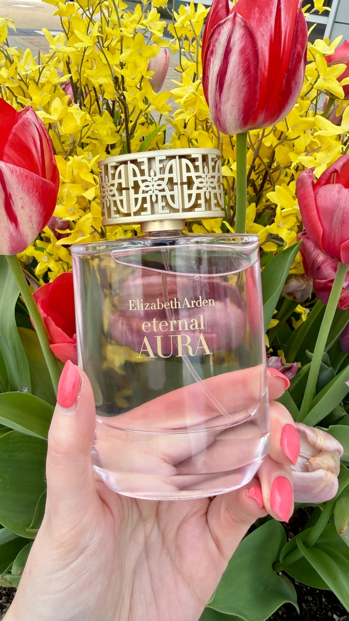 New Elizabeth Arden Eternal Aura Eau De Parfum Spray, 3.3 oz. currently 15% off! 

#LTKgrwm #LTKMothersDay #LTKSaleAlert