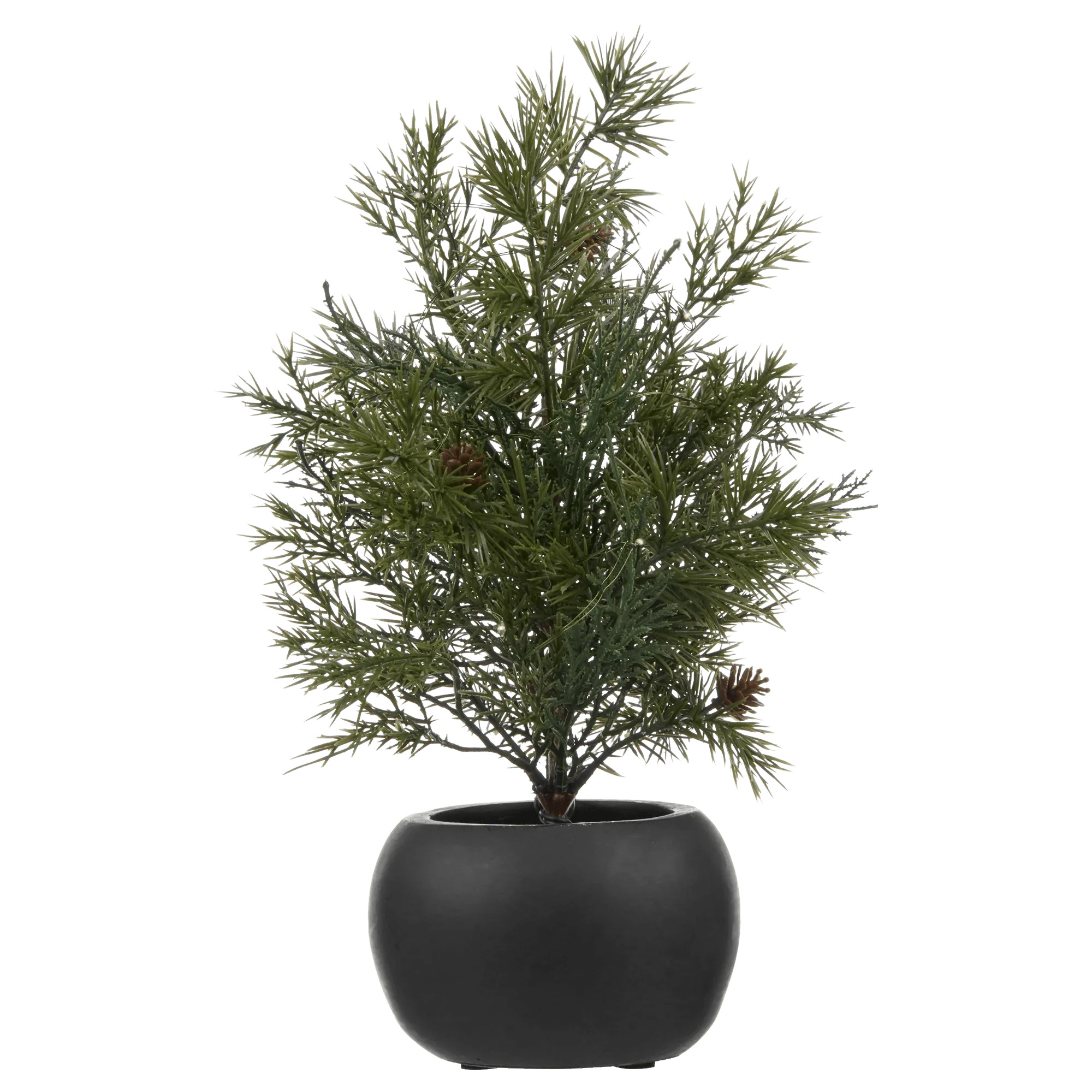 Tree with Pinecones in Black Pot | Bouclair