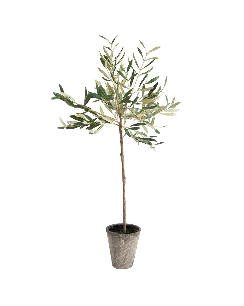 Faux Potted Olive Tree | McGee & Co.
