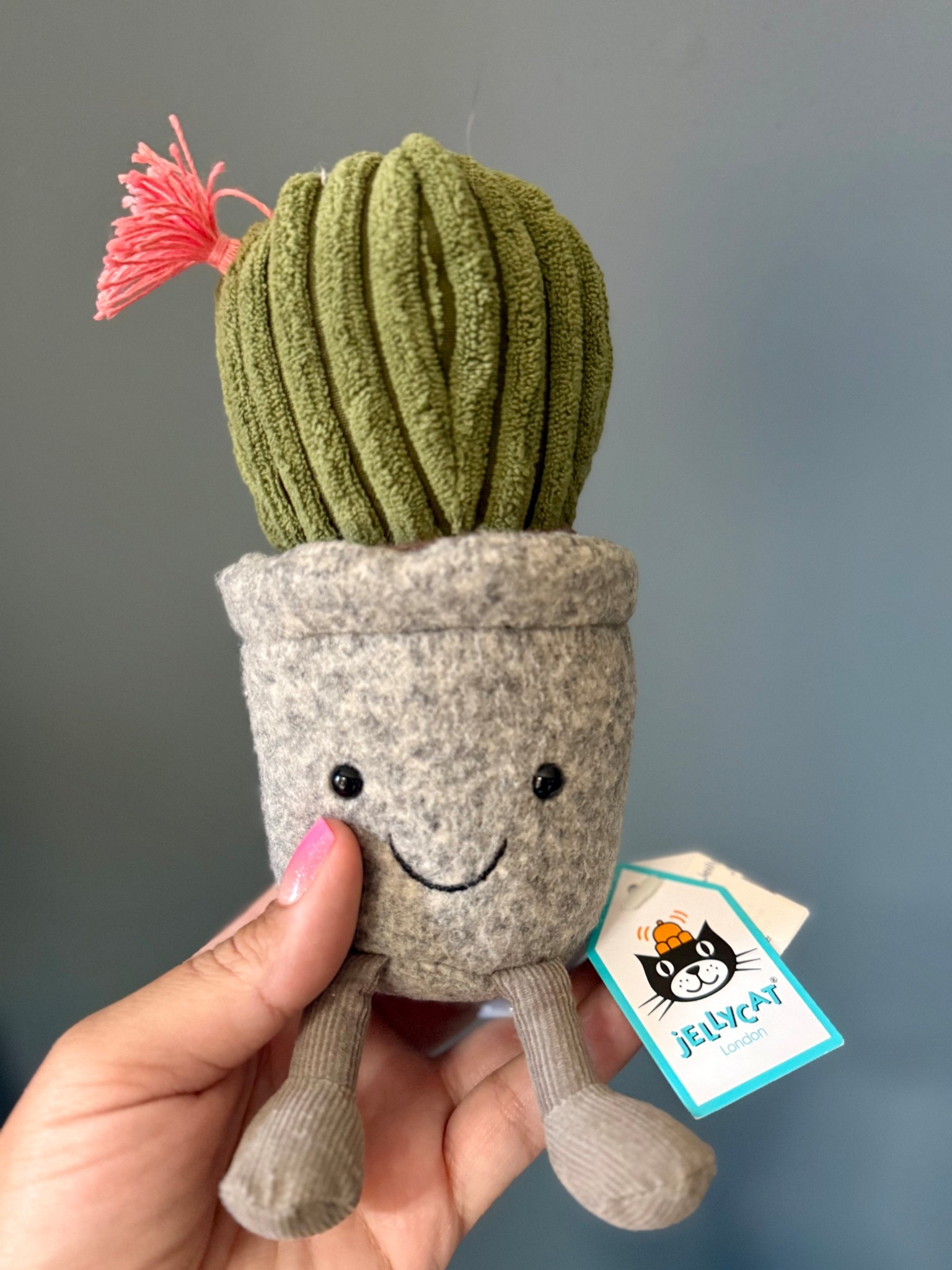 Okay but this is wild…

My silly Succulent Jellycat is officially retired and selling for $99 on eBay 👀

So hear me out… I have an investment strategy for you 😂

Shop the new Jellycats at Nordstrom now, love them hard, keep the tags nice and pretty… and wait 5–10 business years.

Listen, I remember the Beanie Baby era too… and I’m not saying history repeats itself… but I’m also not not saying it. 😅

#LTKKids #LTKstorytime #LTKSpringSale