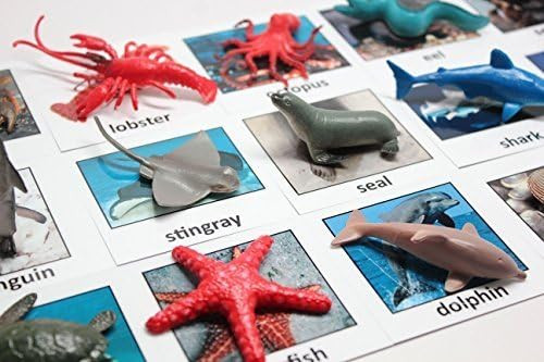 Curious Minds Busy Bags Montessori Animal Match - Miniature Ocean Animals with Matching Cards - 2... | Amazon (US)