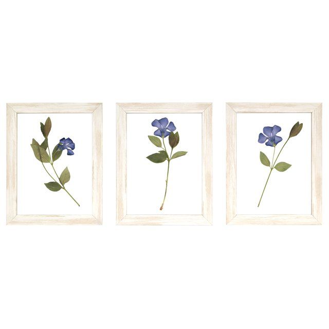 Harbortown 8 inch x 10 inch Clear Floral Float Gallery Wall Framed Art - 3 PC Set | Walmart (US)