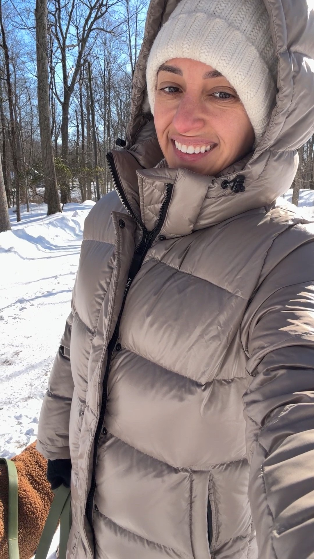 Winter outfit 
Winter parka 
Aritiza puffer long coat ( size small) taupe color  
Puppy winter gear 

#LTKootd #LTKSeasonal #LTKPetite