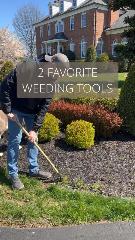 Our favorite weeding tools! 

#LTKSeasonal #LTKsalealert #LTKhome