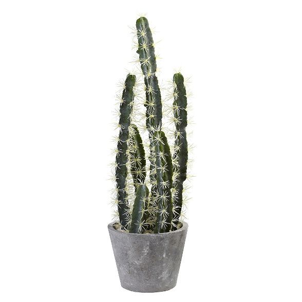 Nearly Natural Decorative Cactus Garden with Cement Planter | Target