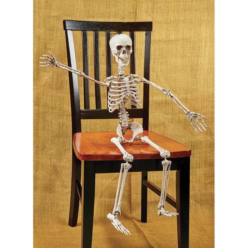 Posable Skeleton Figurine | Wayfair North America
