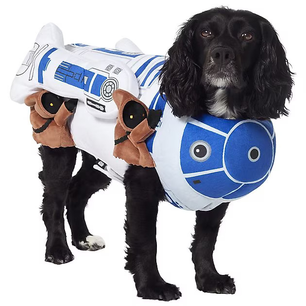 STAR WARS R2-D2 & Jawas Dog & Cat Costume, Large - Chewy.com | Chewy.com