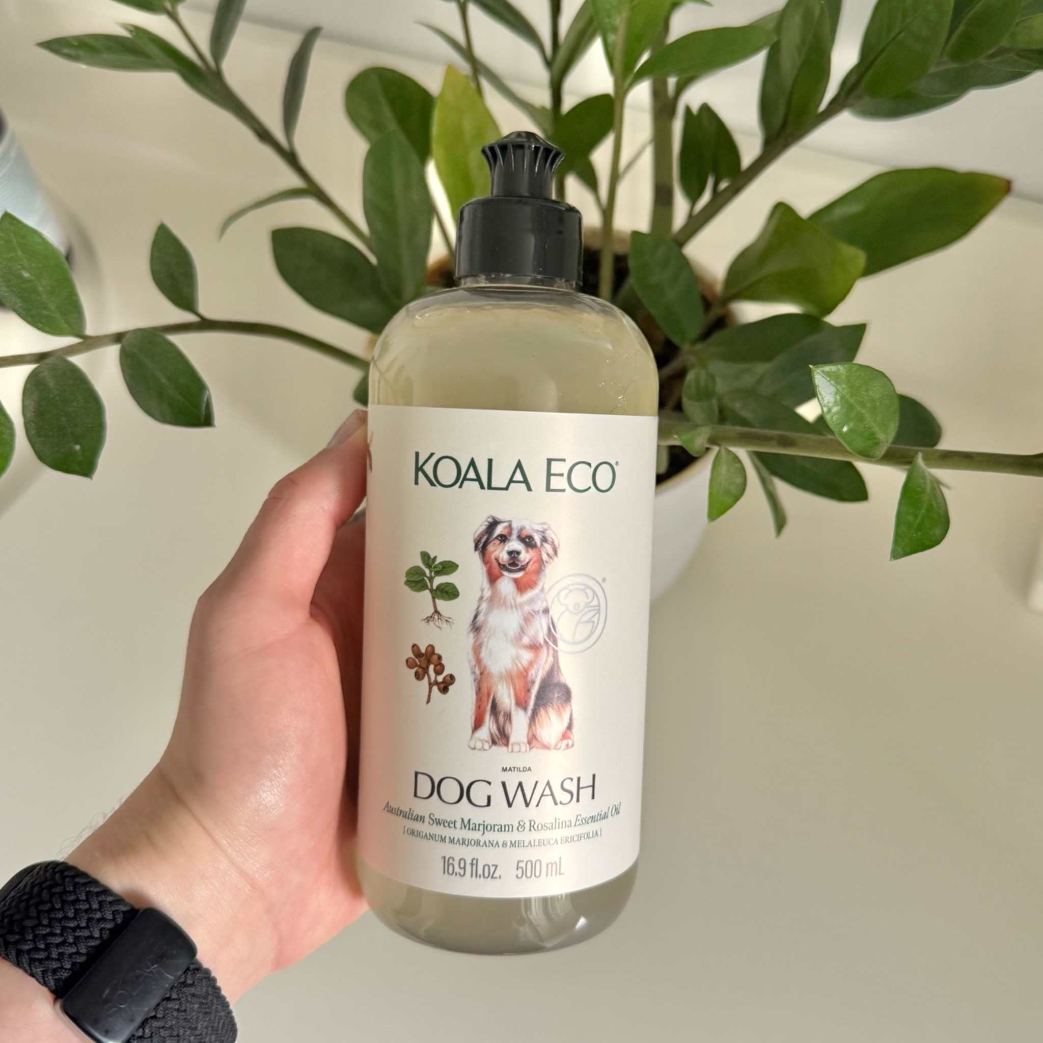 @koalaeco 
Dog Wash
$16.99