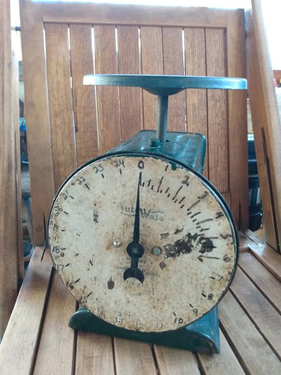 Auto Ware Kitchen Scale Green Vintage Painted Chippy | Etsy (US)