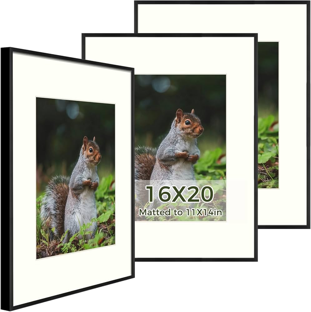 Golden State Art, 16x20 Aluminum Metal Frame with Ivory Mat for 11x14 Pictures, Includes with Saw... | Amazon (US)