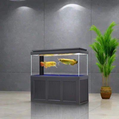 Gray Minimalist Rectangular Eco Aquarium Tank | Wayfair North America