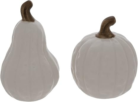 Cream Pumpkin And Gourd Salt And Pepper Shakers Home Autumn Fall Table Decoration | Amazon (US)