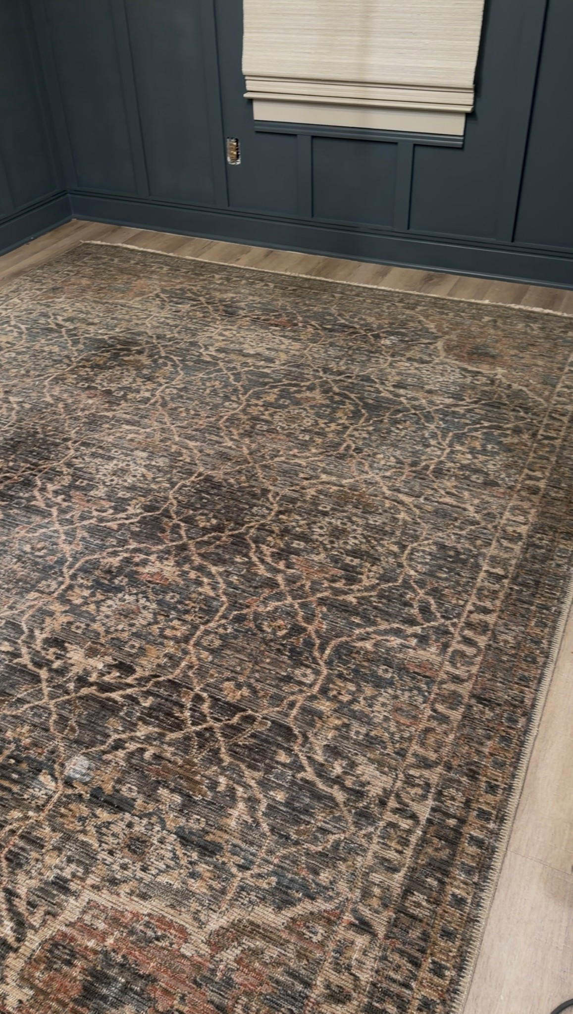 This Joon Loloi rug paired with SW grays harbor is 👏🏻👏🏻