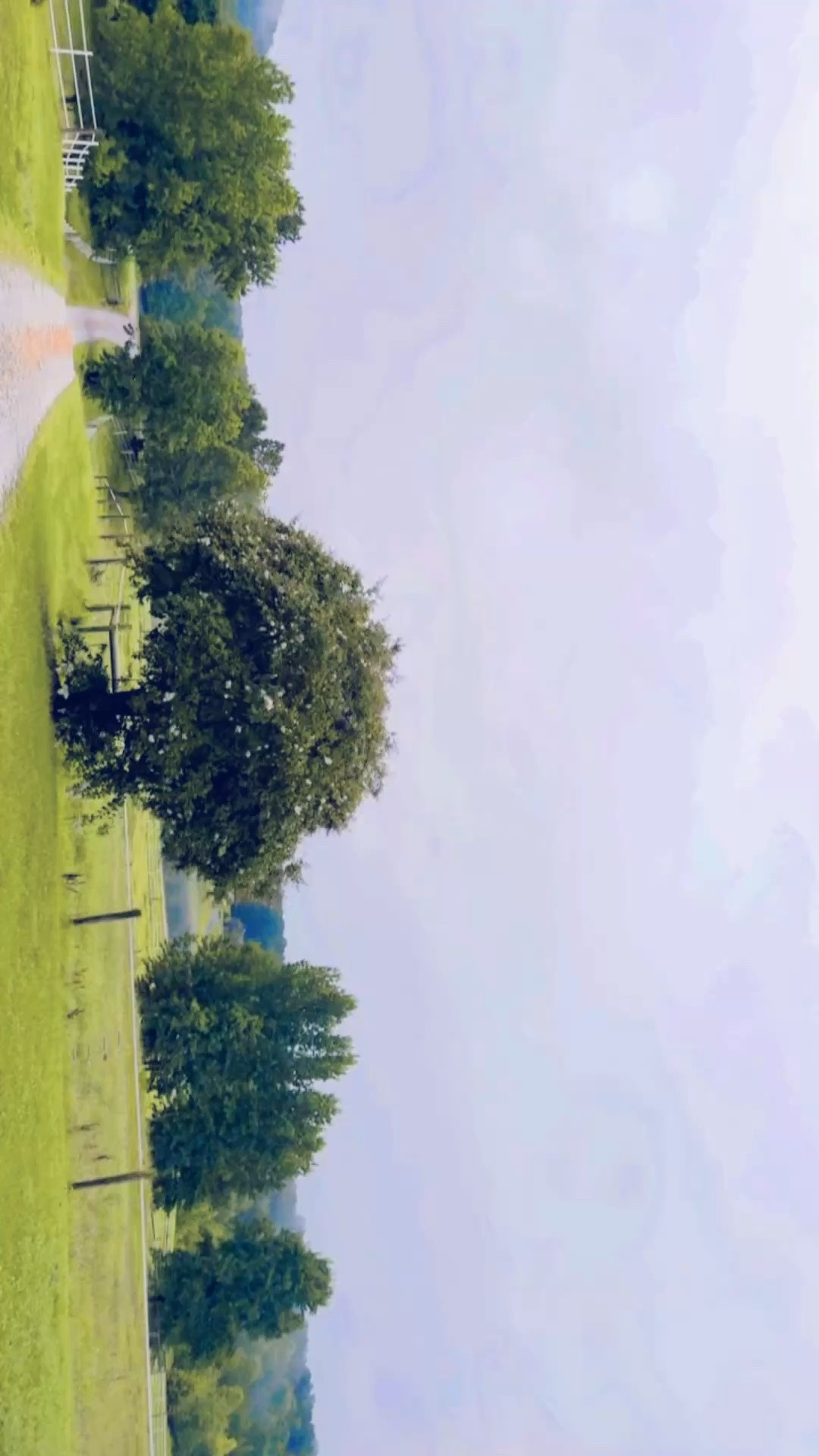 Morning run views 🪿🫏🐴🦌🌾🌳 happy happy friYAY, y’all 🤍