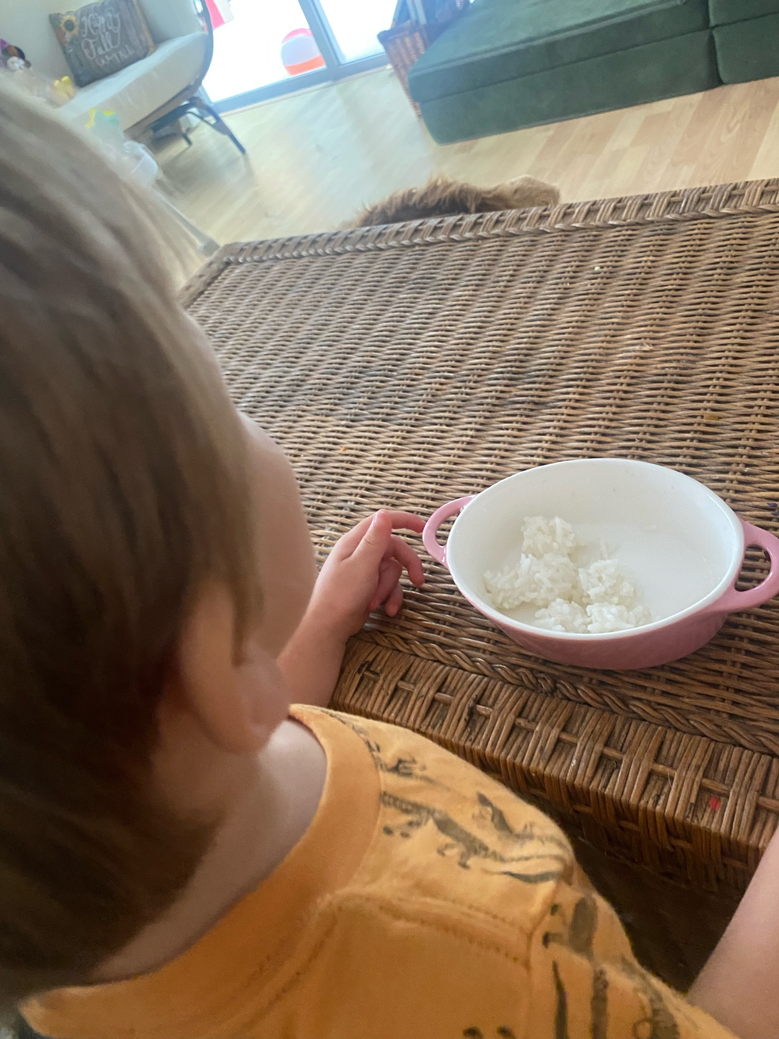 fav bowls / plates to feed my toddler with

#LTKkids #LTKbaby #LTKfamily
