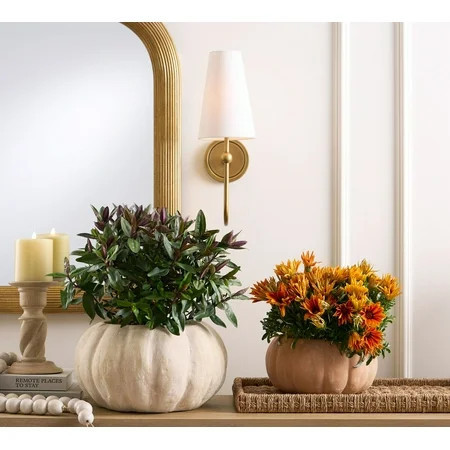 Terracotta Pumpkin Planter Pot, 11.25-Inch Diameter Rustic Cachepot for Fall Decor 2025 New, 2025 Exclusive Autumn & Halloween Decorative Vessel for Seasonal Home Accents | Walmart (US)