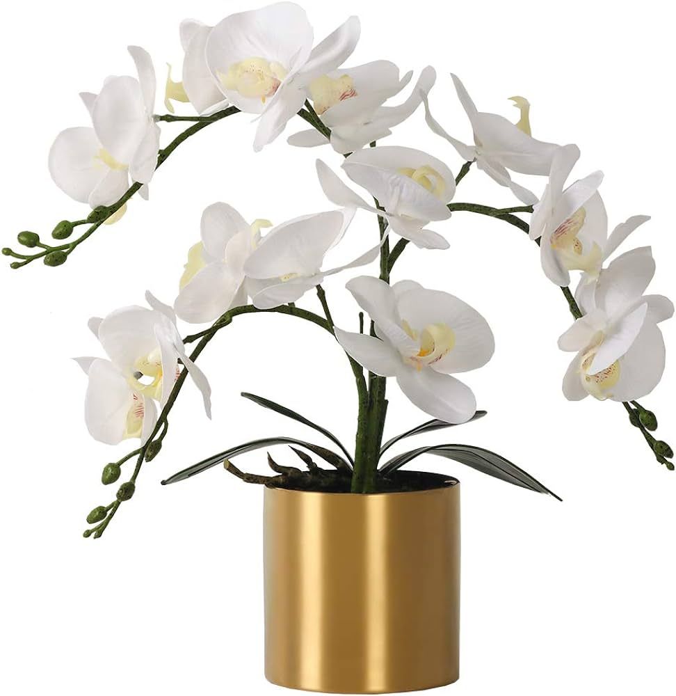 LESING Artificial Orchid Flower with Vase, White Orchid Bonsai Faux Orchid Phalaenopsis Plant Pot... | Amazon (US)