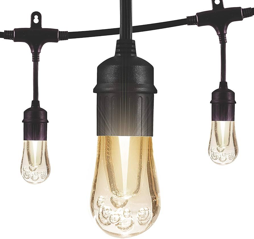 Enbrighten Premium Warm White String Lights, 24ft Black Cord, 12 Shatterproof Acryllic Bulbs, Wea... | Amazon (US)