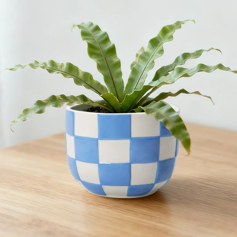 Mainstays Lennon 6" x 6" x 4.5" Round Blue Checkered Ceramic Planter | Walmart (US)