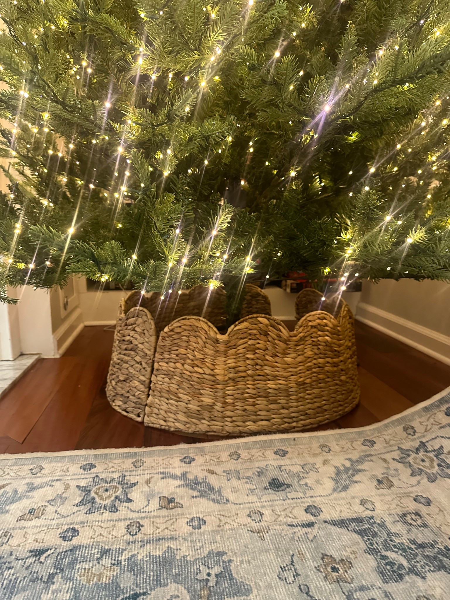 Prettiest tree collar! 

#LTKFindsUnder50 #LTKCyberWeek #LTKHoliday