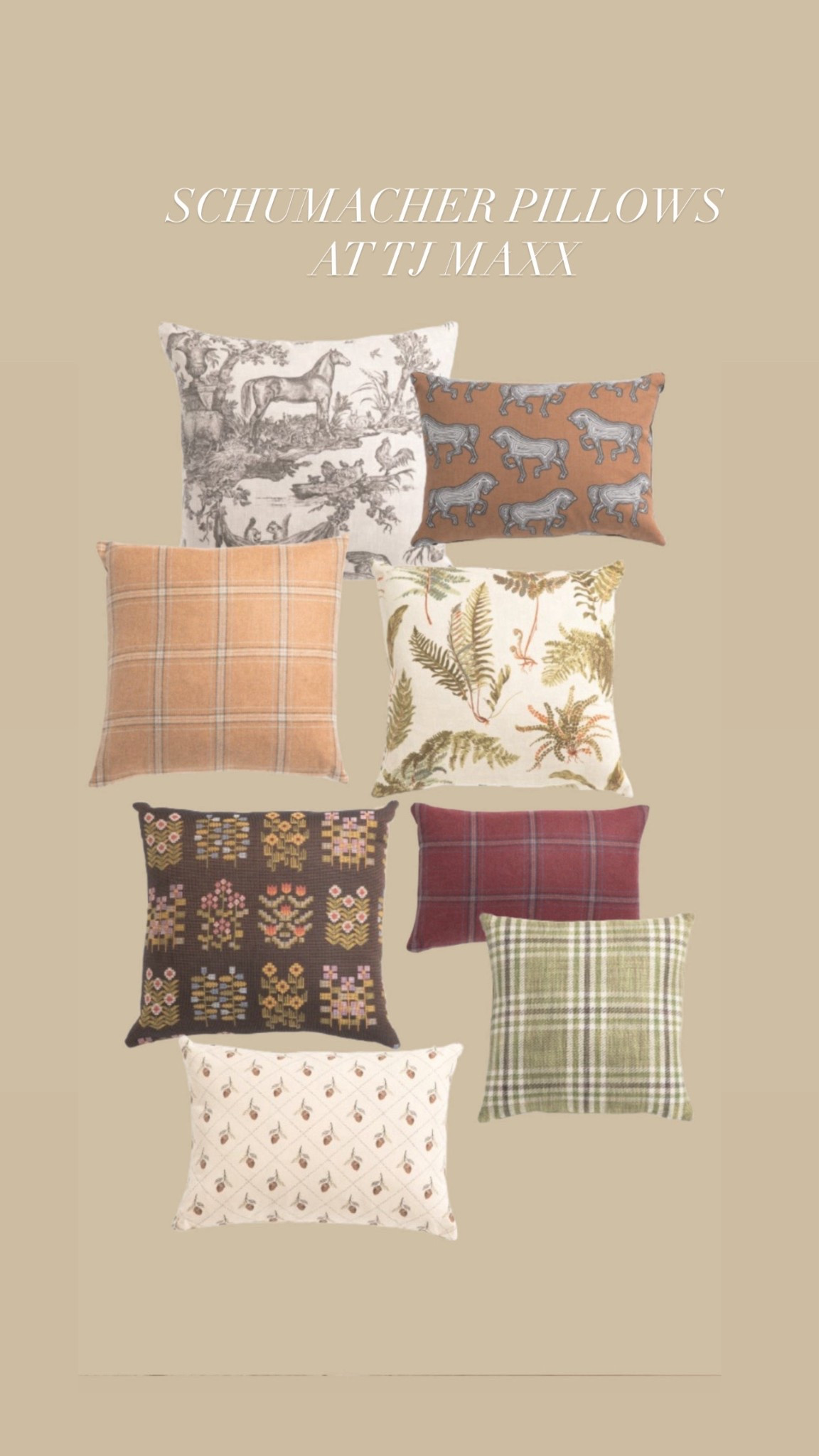 Schumacher pillows at TJ Maxx! Talk about a fraction of the price 🤯

#LTKHome