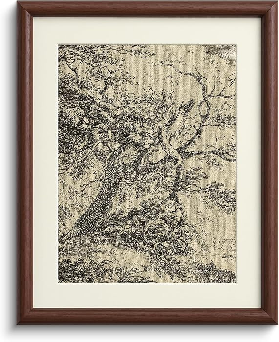 InSimSea Brown Framed Oak Tree Wall Art, Vintage Farmhouse Cottage Landscape Sketch Painting deco... | Amazon (US)