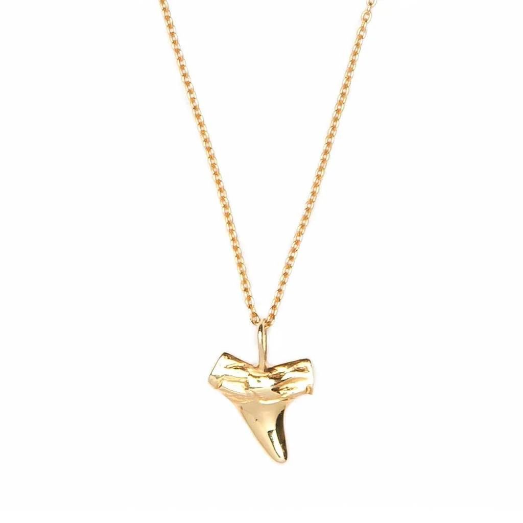 Shark Tooth Necklace - Gold | Pura Vida Bracelets
