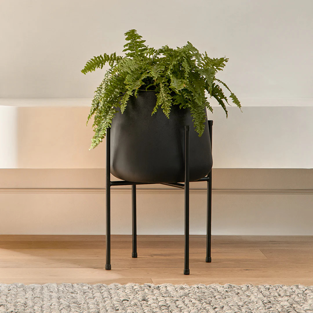 Tuva Narrow Indoor/Outdoor Planter Set - Black | Article
