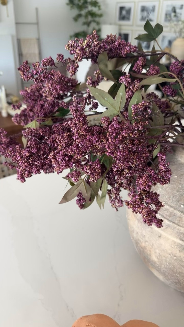 Amazon fall stems are so pretty. Plum berry faux stems, Amazon faux stems, Amazon home decor

#LTKSeasonal #LTKHome