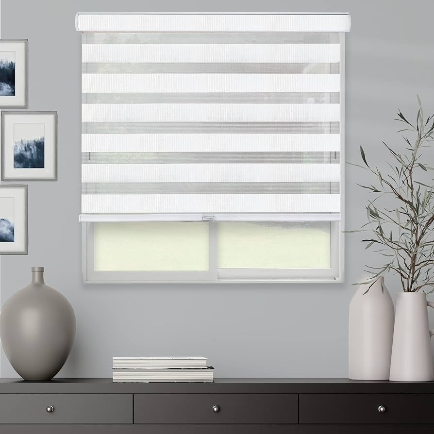 CHICOLOGY Zebra Blinds, Roller Window Shades, Blinds for Windows, Roller Shades for Windows, Wind... | Amazon (US)