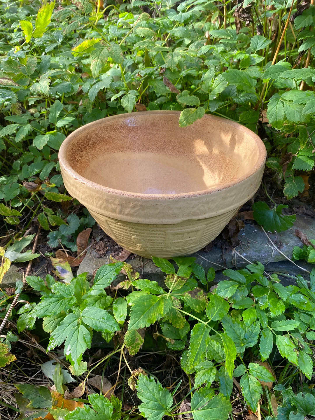 Mccoy U.S.A. Girl With Watering Can POTTERY BOWL 166 Sand Color 8 Yelloware Bowl - Etsy | Etsy (US)
