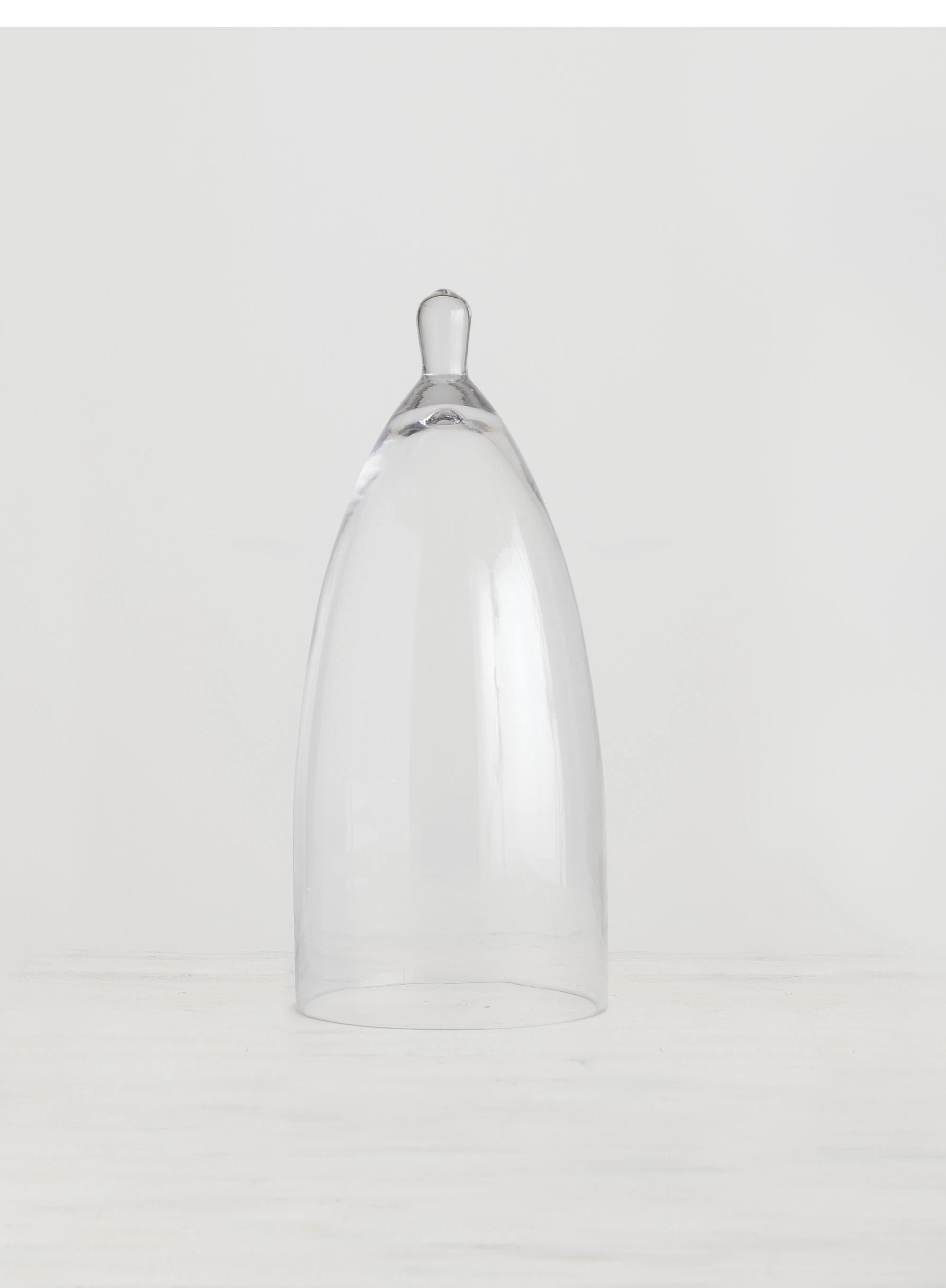 Birch Lane™ Adwin Cloche Or Water Globe & Reviews | Wayfair | Wayfair North America