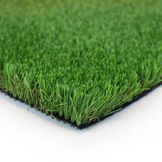 TrafficMaster Fescue Multipurpose 12 ft. Wide x Cut to Length Green Artificial Grass Turf TMCSBRN... | The Home Depot