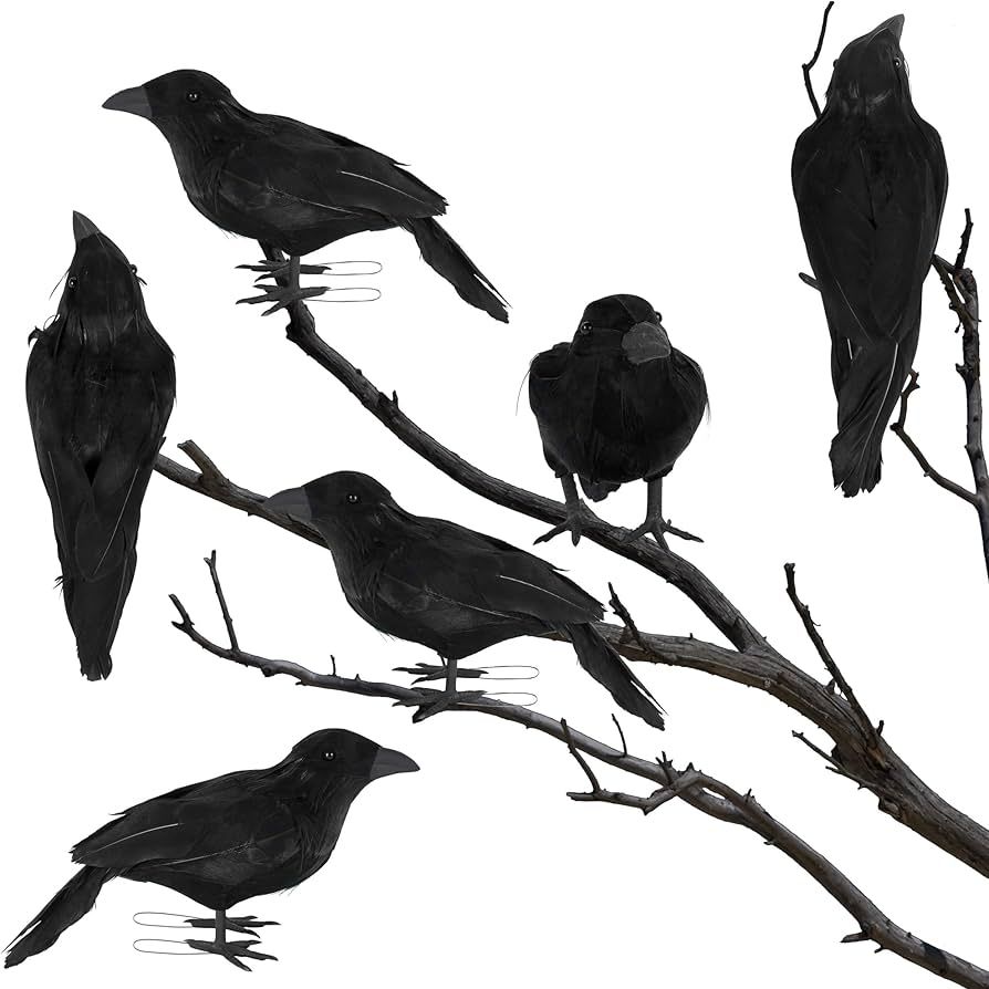 ATDAWN 6 Pack Halloween Birds, Black Feathered Crows, Realistic Looking Halloween Birds Decoratio... | Amazon (US)