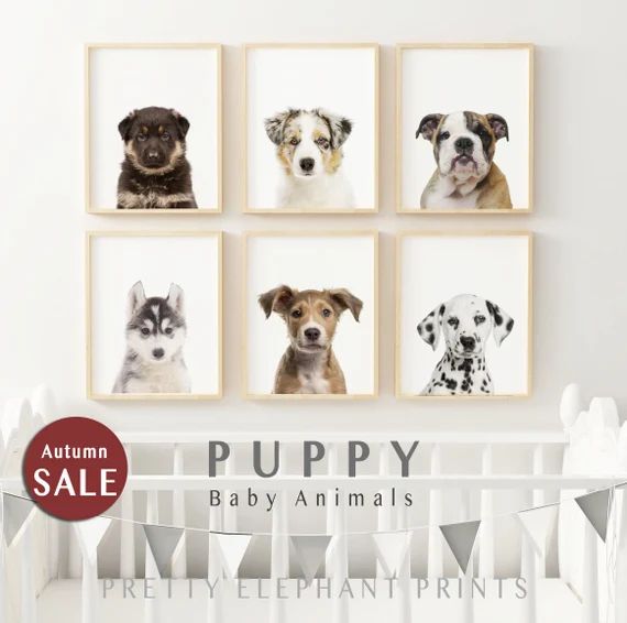 Cute Puppy, Puppy Collection, Animal Collection, Baby Animal Prints, Safari Animal Prints, Nurser... | Etsy (US)