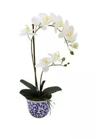 White Orchid in Blue & White Pot Faux Greenery | Belk