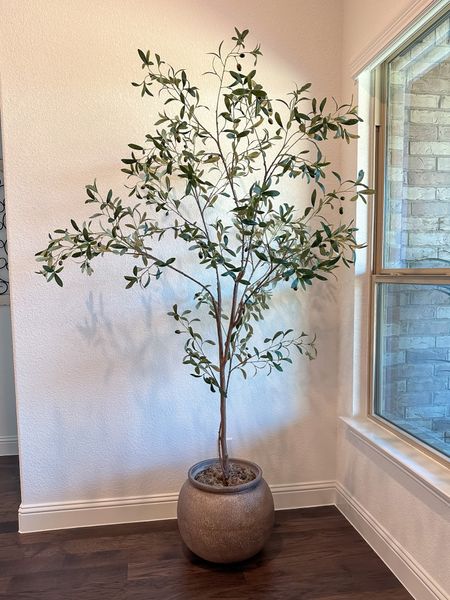 Amazon faux Olive Tree / Amazon finds / home decor / artificial tree  / home finds 

#LTKhome #LTKFind #LTKstyletip