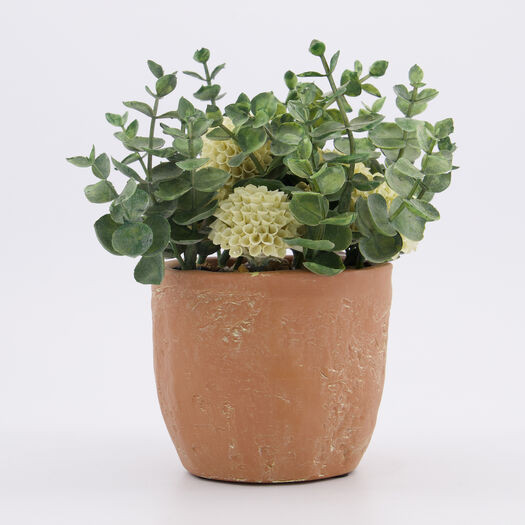 Green Artificial Pom Pom Daisy & Eucalyptus 20x18cm | TK Maxx