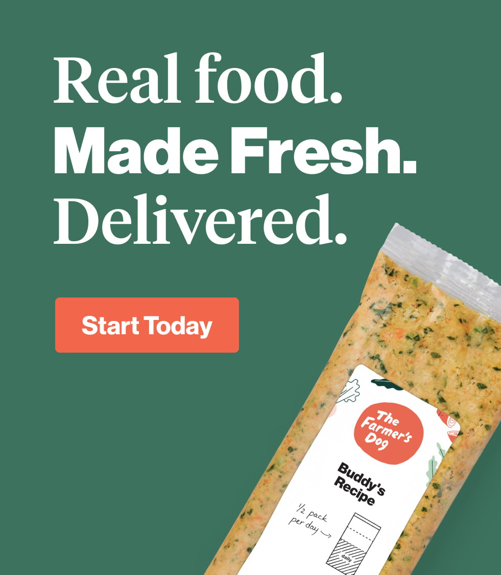 The Farmers Dog | TheFarmersDog