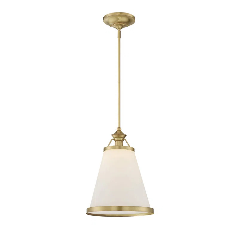 Haupt 1 - Light Single Cone Pendant | Wayfair North America