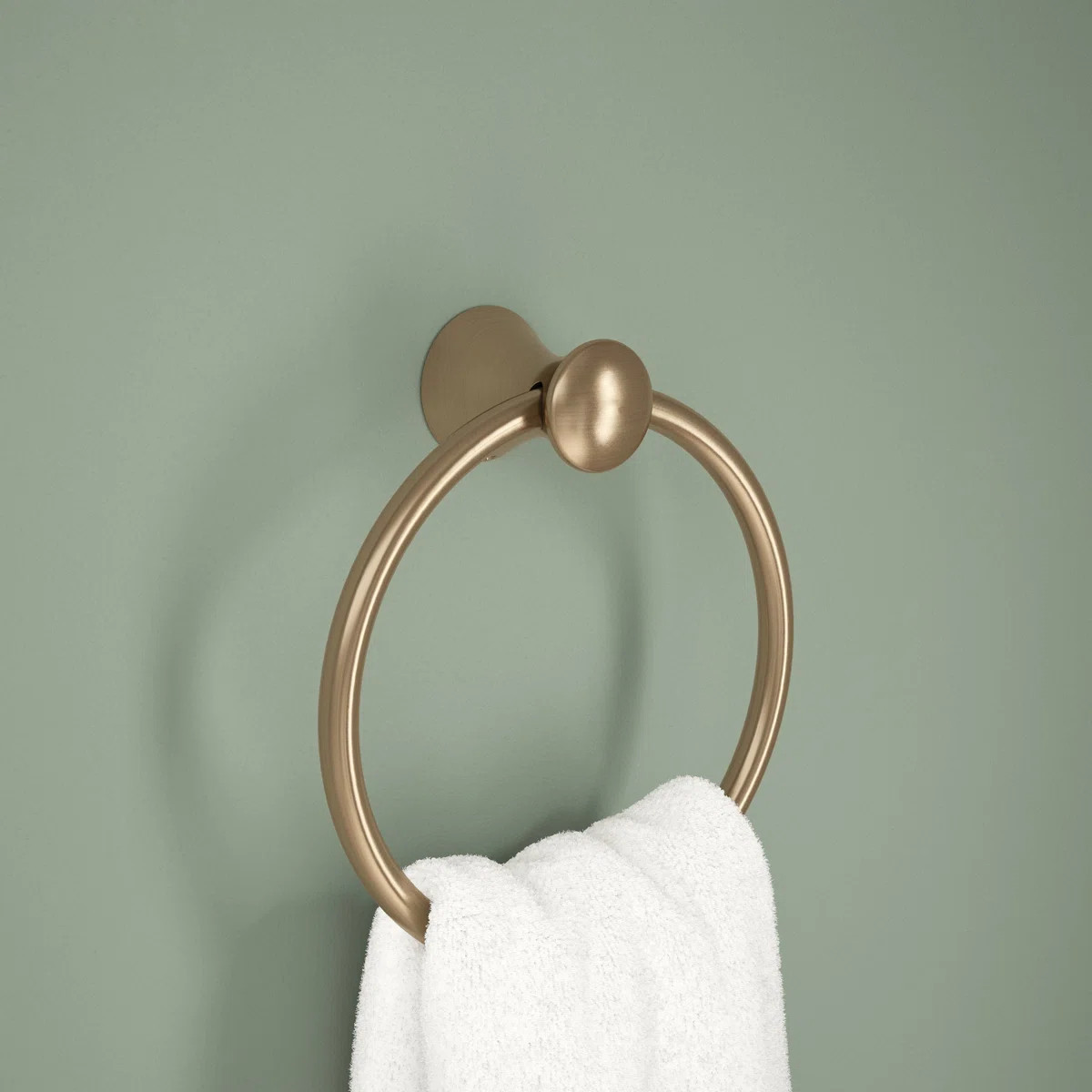 Lahara Wall Mount Round Closed Towel Ring Bath Hardware Accessory 73846-CZ | Wayfair North America