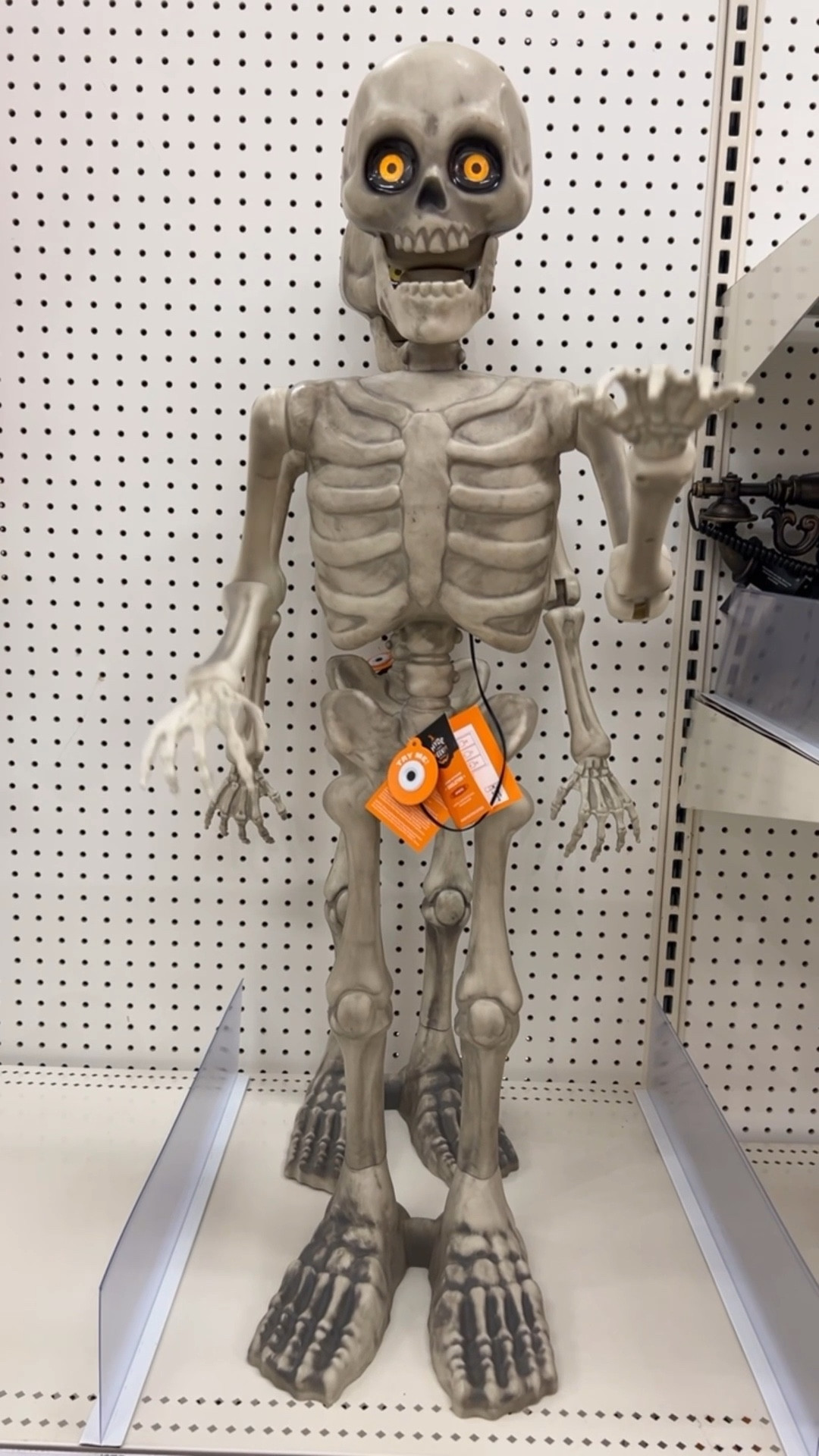 Animated Halloween Decor at Target!

Add ghostly ambience to your seasonal decor with this 3-Foot Animated Skeleton Halloween Decor Prop from Hyde and EEK!. This standing skeleton has scary eyes that light up in sinister yellow for enhanced creepy vibes. Set it anywhere in your house or in a covered outdoor location to infuse a little extra eerie charm and glow.

Halloween decor, poseable skeleton #halloweendecor #halloween #spookyseason

#LTKHalloween #LTKHome #LTKSeasonal #LTKFindsUnder50 #LTKParties