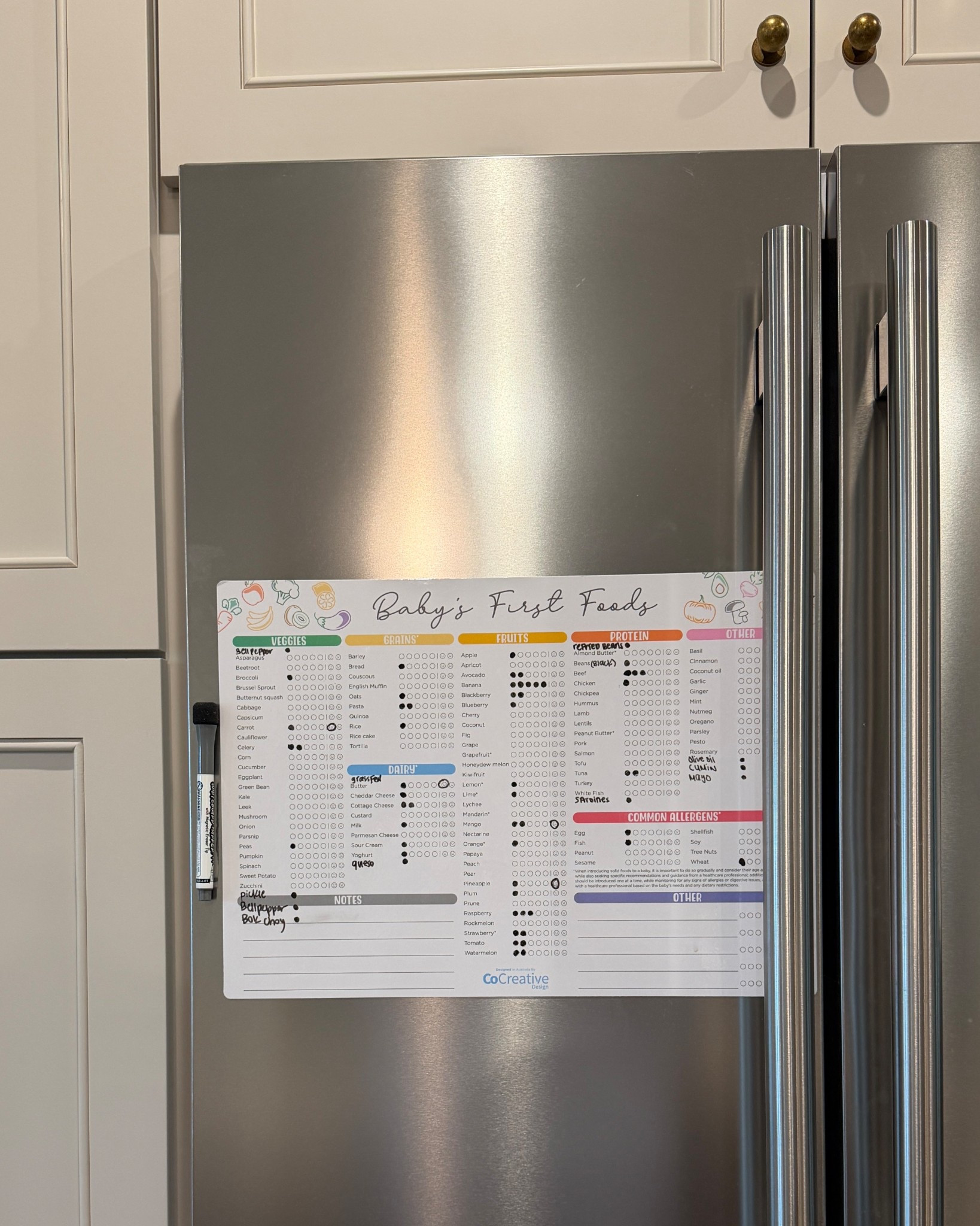 Baby’s first foods fridge magnet tracker 