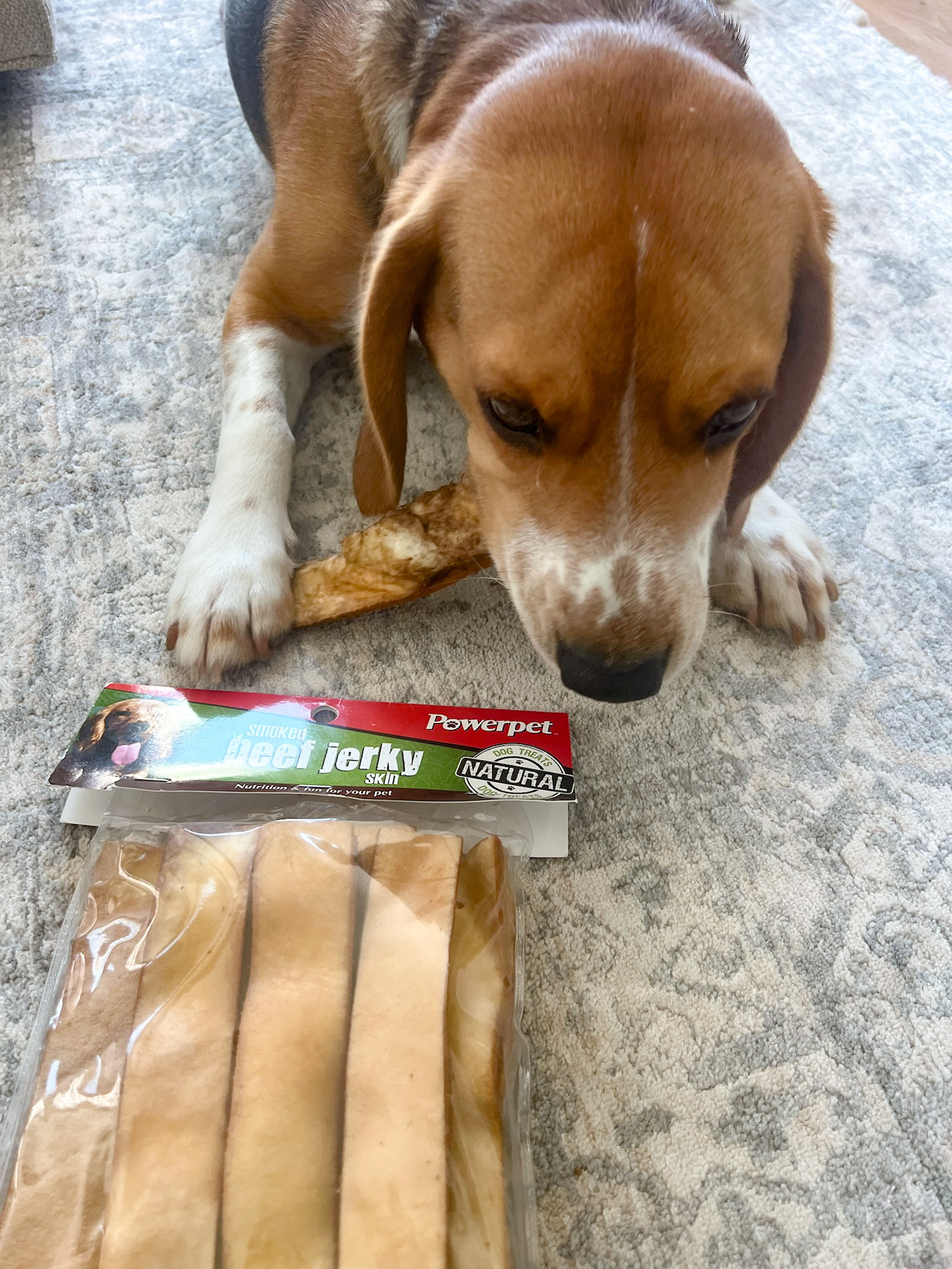 Give your pup a tasty (and natural) chew they’ll love 🐶✨ with this natural smoked beef jerky skin for dogs! Made for long-lasting chewing enjoyment, it helps support dental health by naturally reducing plaque and tartar while keeping your dog happily occupied 💖🐾. Perfect for rewarding good behavior or treating them to something satisfying and protein-rich 👀✨. Trust me, this is one snack your furry friend will get excited for every time 💕
#dogtreats #dogsnacks #petwellness #dogcare #healthypets #doglife #furbaby #petparents #doglovers #chewtreats #naturalpetcare #dognutrition #happydog #petcare #dogproducts #petessentials #ltkpets #ltkfinds #petmusthaves #dogchews #petinspo #treattime #doglove 

 