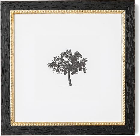 Petal Lane Tree Wall Art - Framed Antique Decor - Make Your Own Gallery Wall Frame Set - Dark Aca... | Amazon (US)